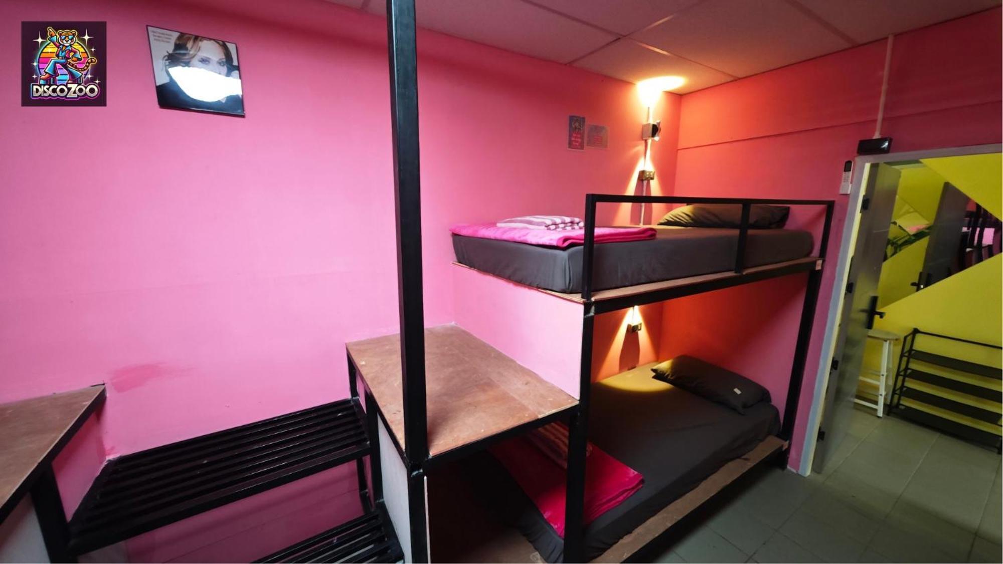 Disco Zoo Bar & Hostel Haad Rin Rom bilde
